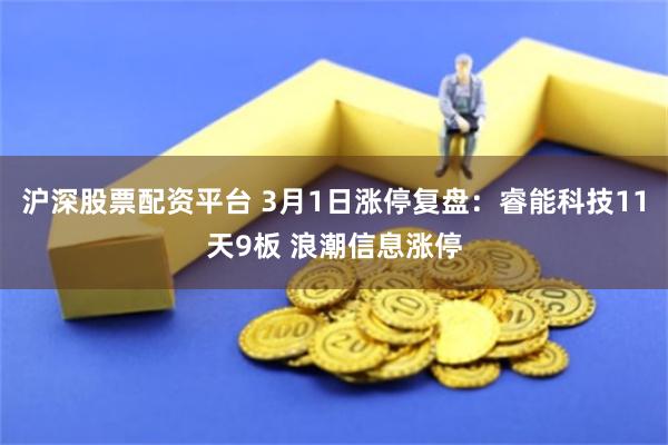沪深股票配资平台 3月1日涨停复盘：睿能科技11天9板 浪潮信息涨停