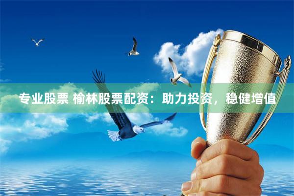 专业股票 榆林股票配资:助力投资,稳健增值
